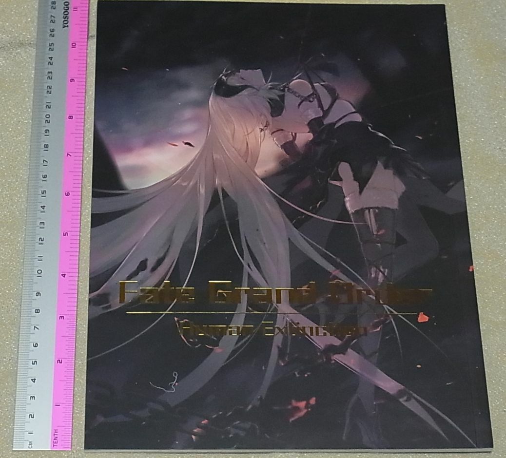 Gravity5 Fate FGO Color Fan Art Book Fate Grand Order Human Extinction 