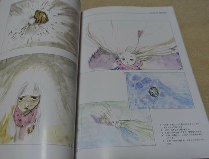 THE ART OF Tenshi no Tamago Angel's Egg Mamoru Oshii Yoshitaka Amano etc 
