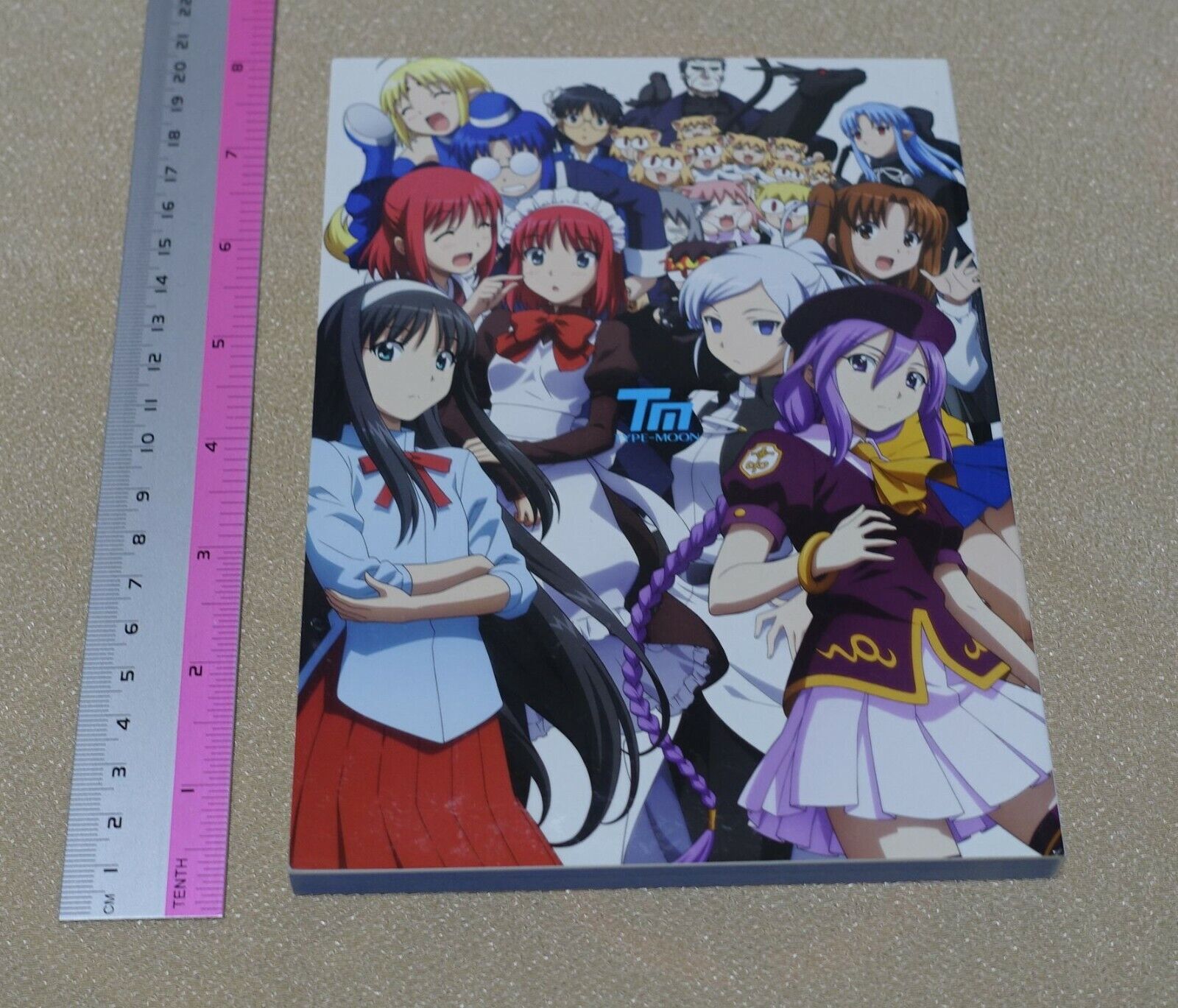 TYPE-MOON Carnival Phantasm Dokuhon setting art & story board 158page Fate 