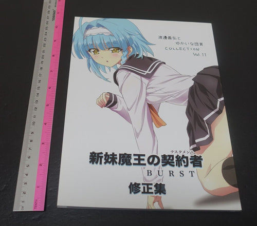 Yoshihiro Watanabe The Testament of Sister New Devil Burst Key Frame Work Book 
