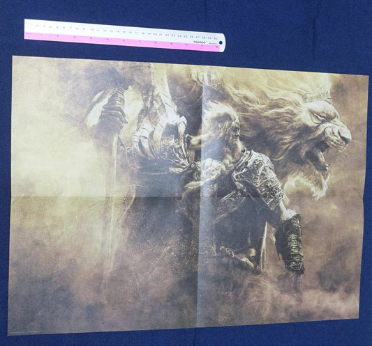 ELDEN RING World Map Poster Limgrave Area Reversible 