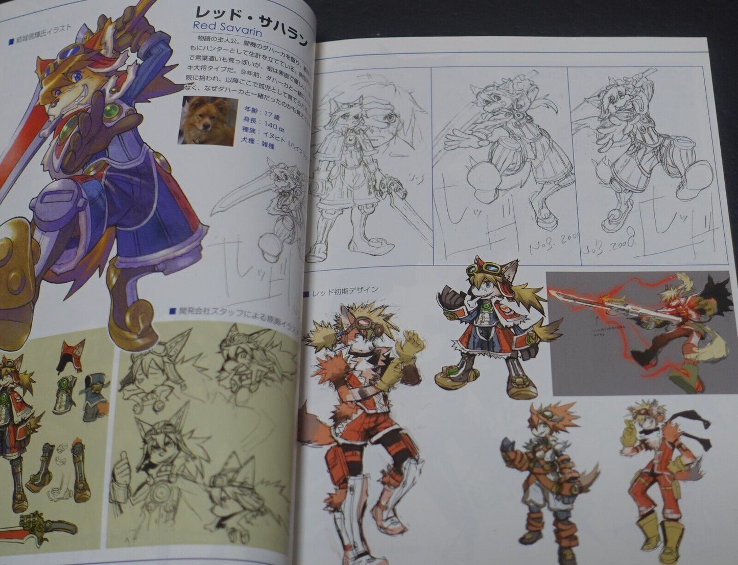 NINTENDO DS Solatorobo And Then, to CODA COLLECTORS EDITION 