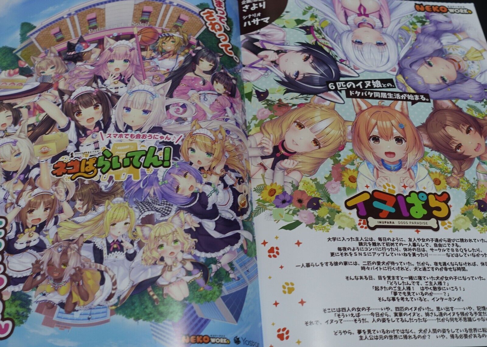 Nekopara Comic Market 100 Goods Set C100 