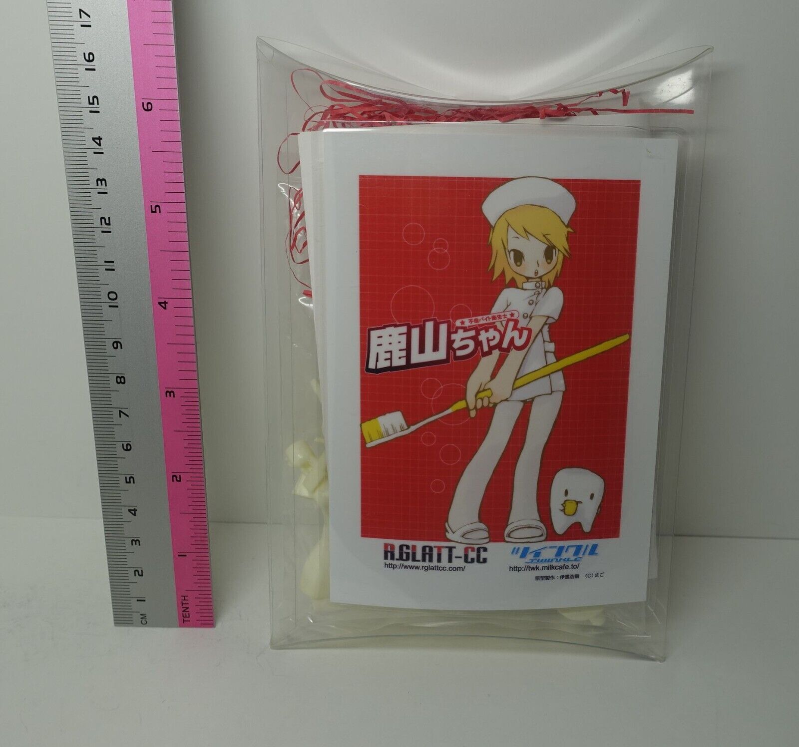 R.GLATT-CC Bad Dental Hygienist SHIKAYAMA CHAN Garage Kit 