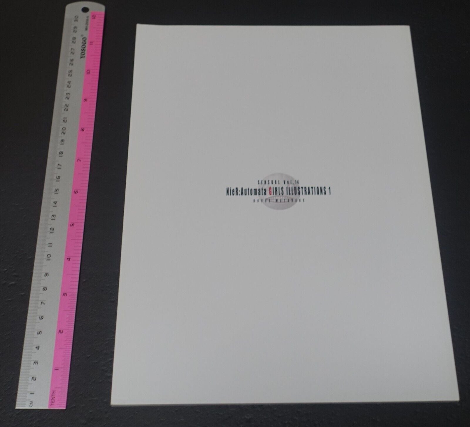 Castlism NieR Automata Fan Art Book NieR Automata Girls ILLUSTRATIONS 1 