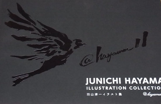 JUNICHI HAYAMA ILLUSTRATION COLLECTION 1 , 2 , 4 set 