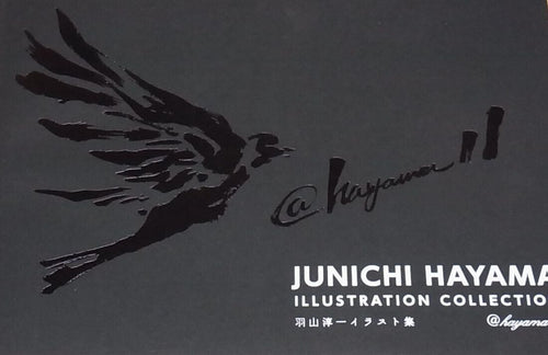 JUNICHI HAYAMA ILLUSTRATION COLLECTION 1 , 2 , 4 set 