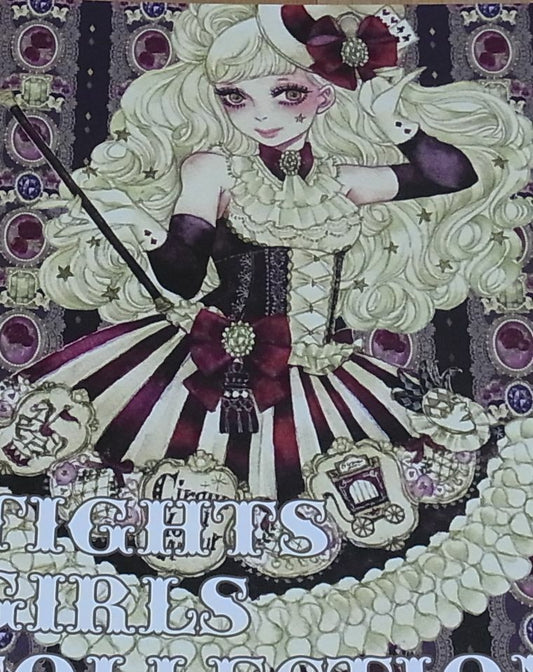 Sakizo Color Illustration Art Book Tights Girls Collection Sakizou 