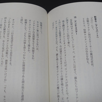 Takehouki Fate Grand Order FGO Avalon le Fae Synopsys Scenario Script Book 