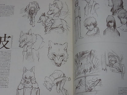 Wolf Children Visual Setting Collection Art Book ookami kodomo no ame to yuki 