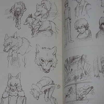 Wolf Children Visual Setting Collection Art Book ookami kodomo no ame to yuki 