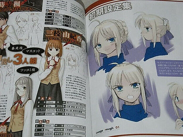 Fate side material +-? Special Setting Book VERY RARE 