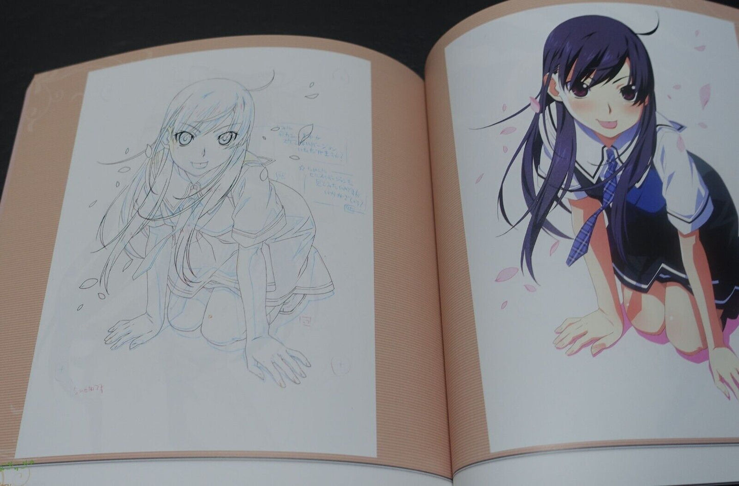 Akio Watanabe GRISAIA Series Art Work Book 1-3 Set 