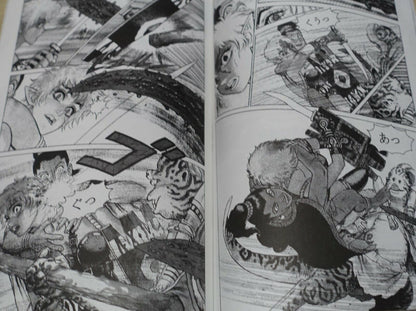 Japanese Comic Atsuji Yamamoto ARNIS IN SWORD LAND EP1-5 Complete Book 