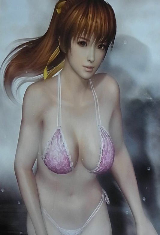 Dead Or Alive 5 ULTIMATE Kasumi Blue VersionB2 SIZE BATH ROOM POSTER 