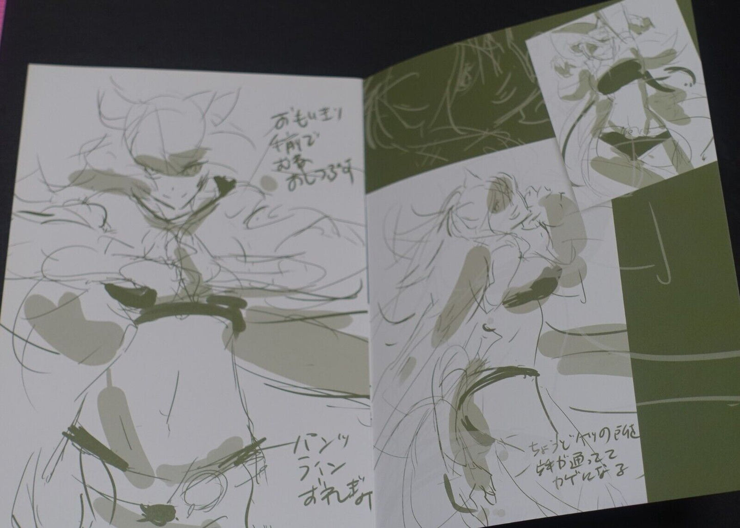 Tetsuya Tashiro Akame ga Kill! Rought Illustration Art Mini Booklet I 8page 