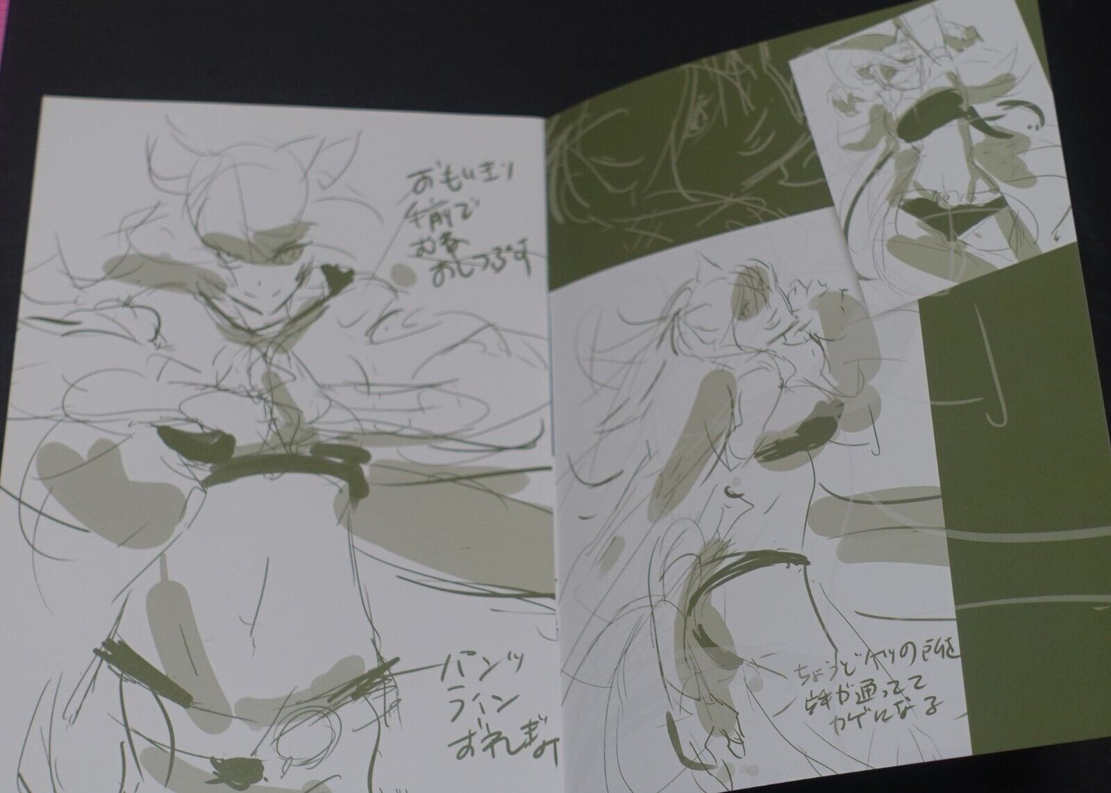 Tetsuya Tashiro Akame ga Kill! Rought Illustration Art Mini Booklet I 8page 