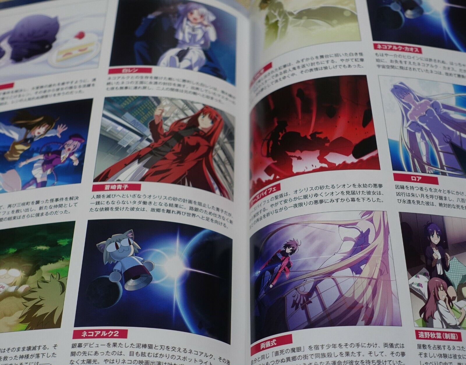 MELTY BLOOD setting & history book MELTY BLOOD DOKUHON 