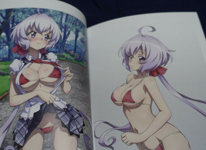 Hanagara Shirt Symphogear Color Fan Art Book BIKINI X OUTSIDE & OUTSIDE G Set 