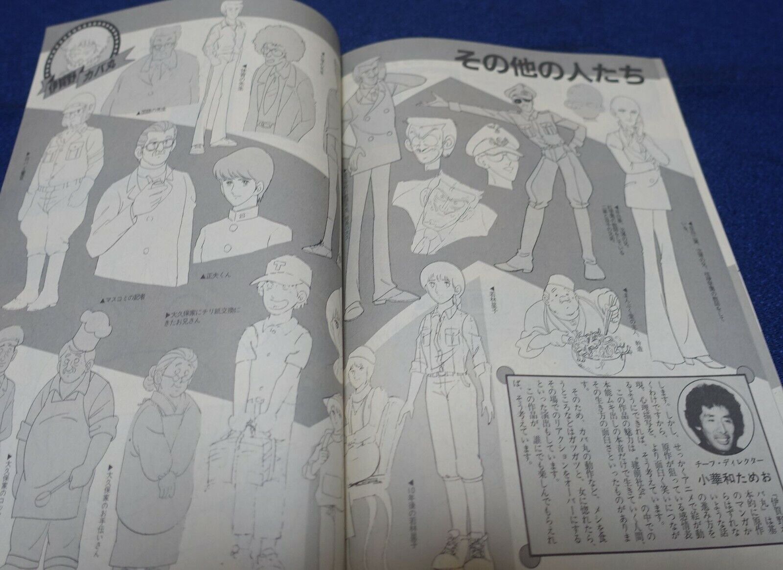 Cut Out Setting Art Article Igano Kabamaru 