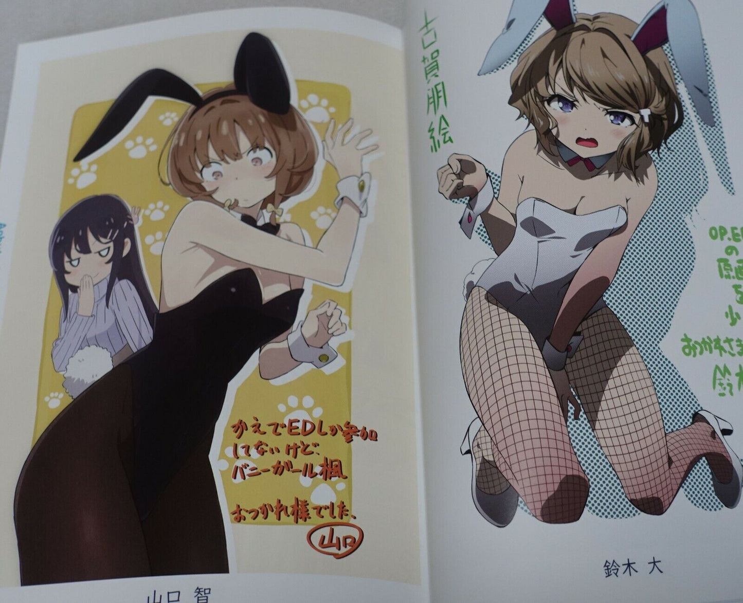C99 Rascal Does Not Dream of Bunny Girl Senpai Animation Staffs Illustration Art 