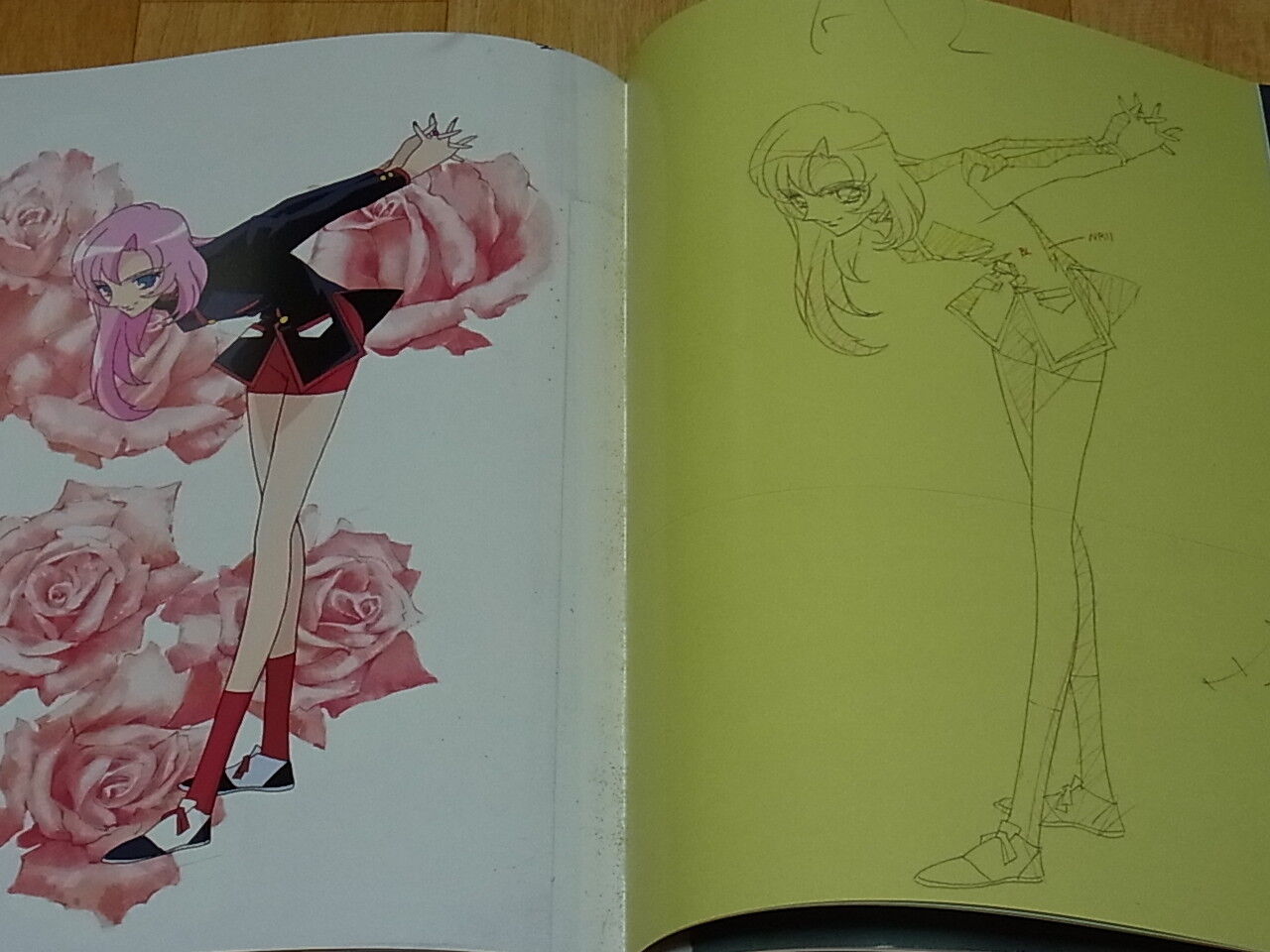 REVOLUTIONARY GIRL UTENA Hard Core Art Books Set total 440page with paper bag 