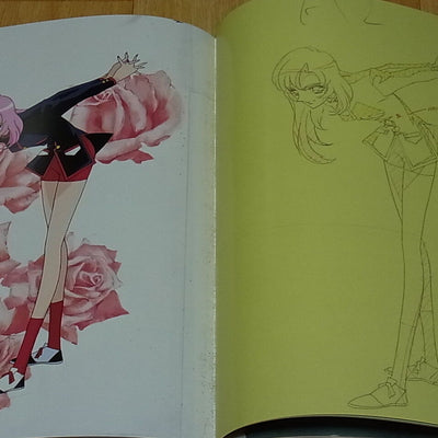 REVOLUTIONARY GIRL UTENA Hard Core Art Books Set total 440page with paper bag 