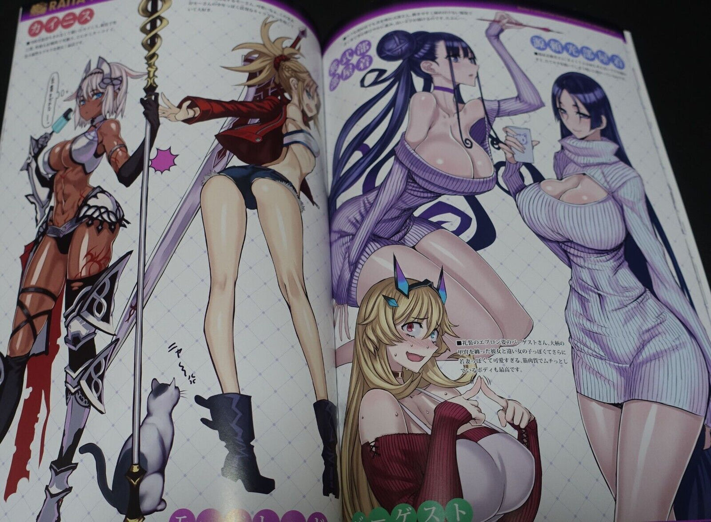 Raita Fate Grand Order FGO Designer's Fan Art Book 4 C100 