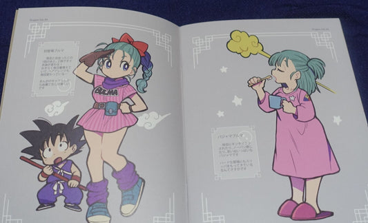 TWINKLE mago Dragon Ball Fan Art Book DRAGONGAL 