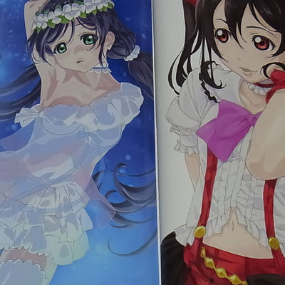 Love Live! and other Characters Color Fan Art Book Irasuto Syuu Lovelive 