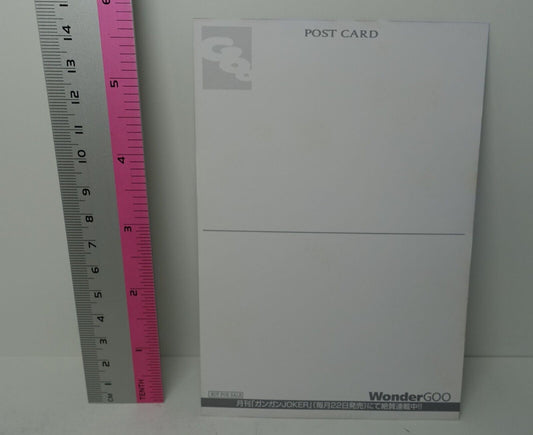 Akame ga Kill! e-Wondergoo Privilege Art Post Card Tatsumi B 