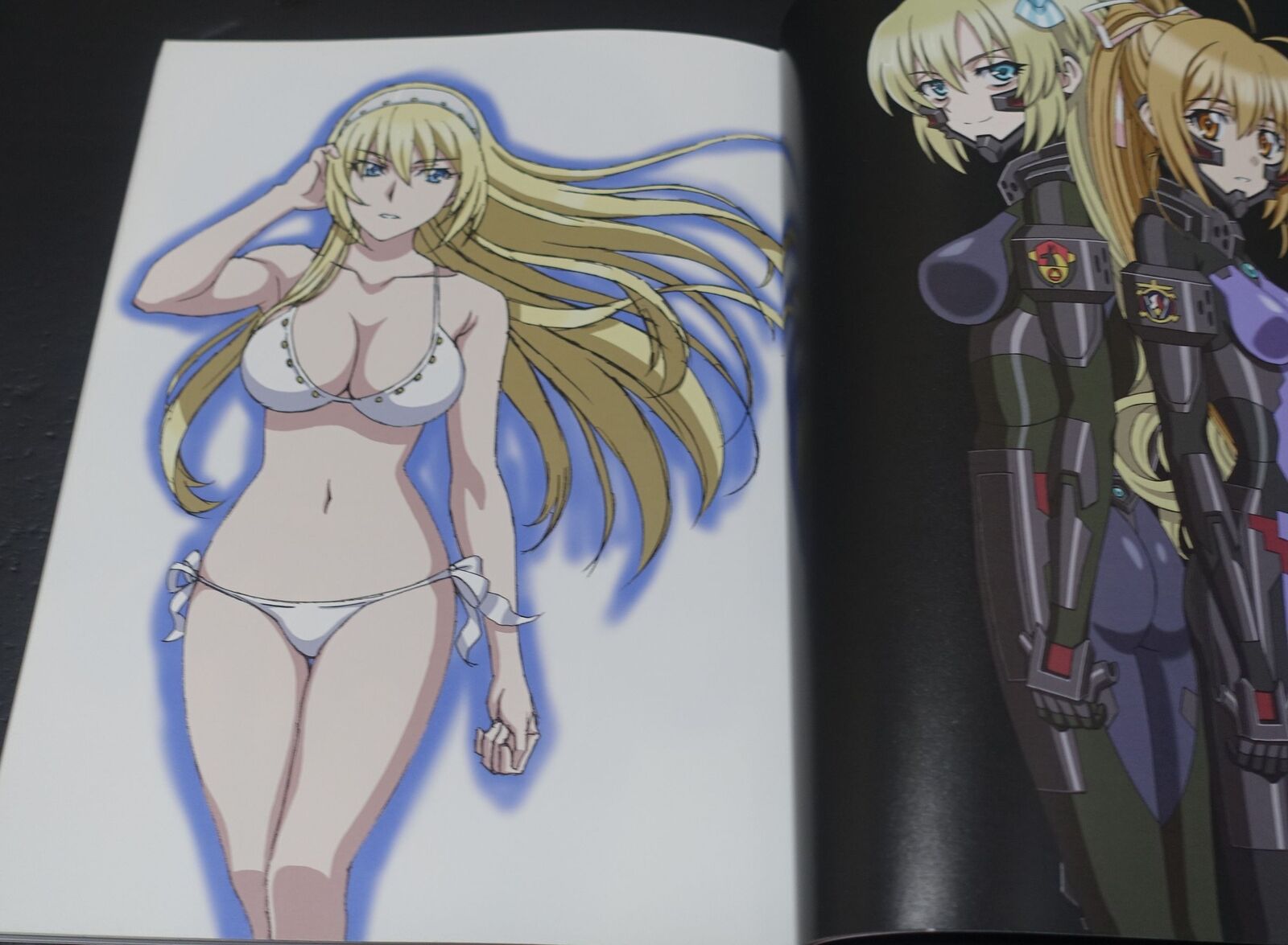 Harasyu Muv-Luv Schwarzesmarken Animation Staff's Art Book Zwei 