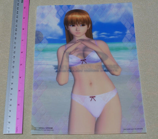 Dead or Alive Xtreme PVC Art Sheet Clear File Kasumi 