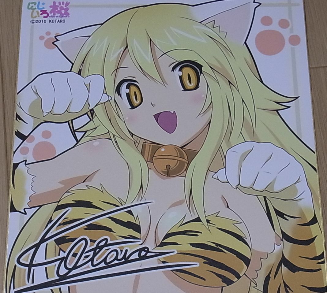 Koutaro Kotaro Color Art Shikishi Art Board Tiger Ear Girl 27 x 24 cm 