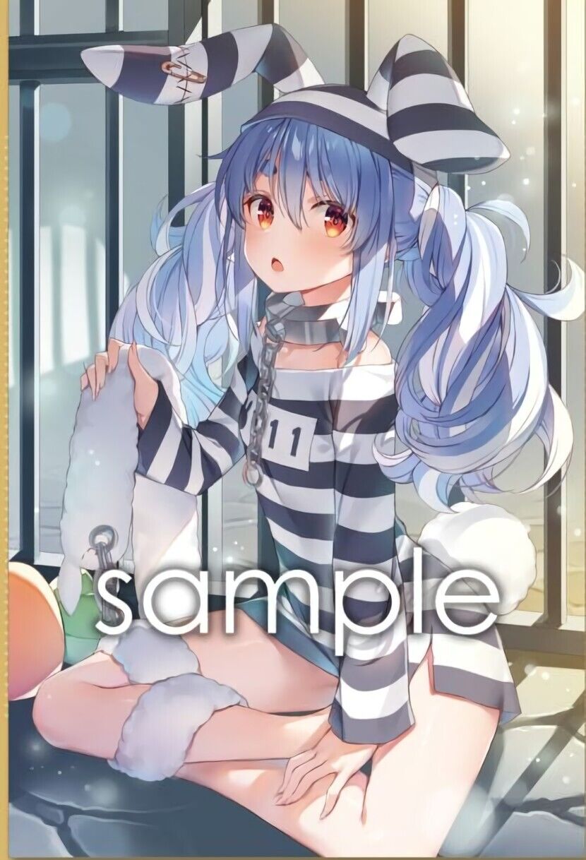 WIREFRAME Yuuki Hagure Usada Pekora Designer's Art Book & Goods Set C101 