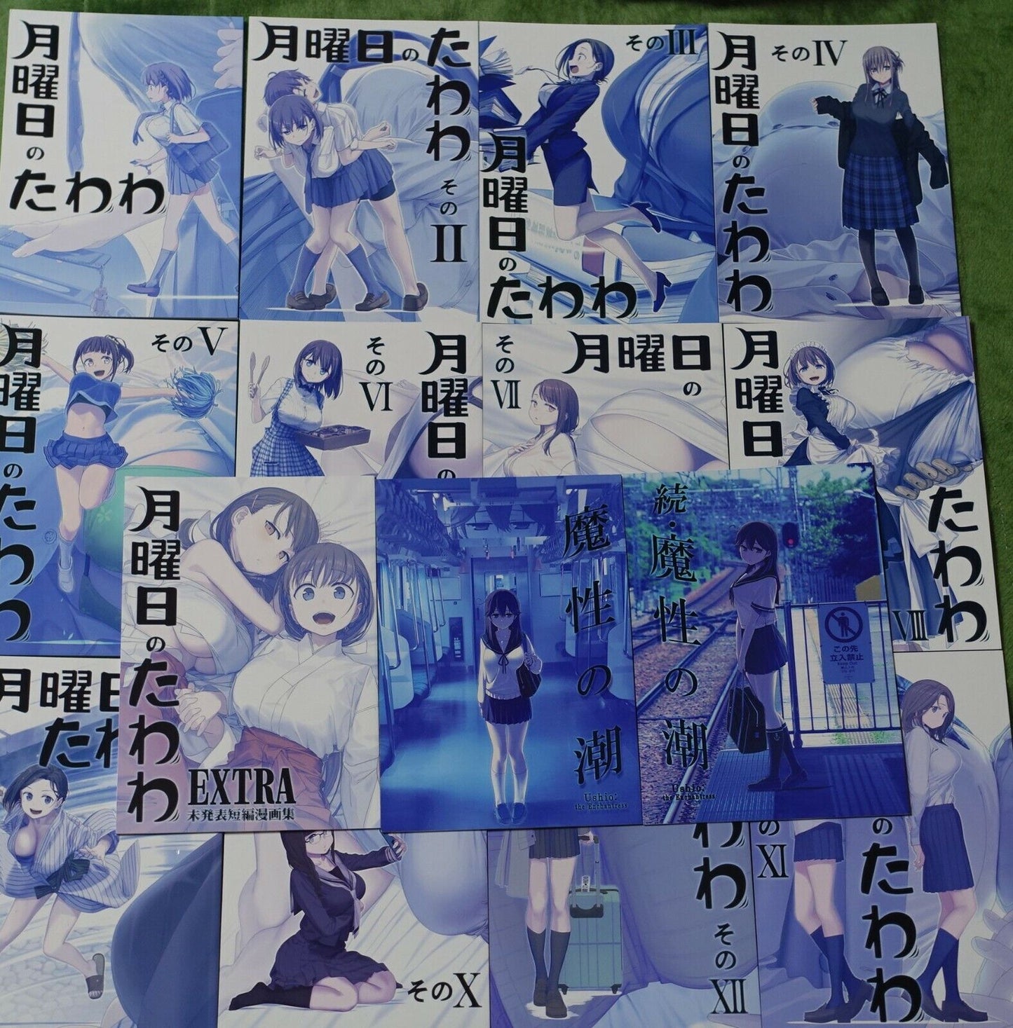 Kiseki Himura Nyuugyou Art & Comic Getsuyoubi no Tawawa on Monday & Ushio 15book 