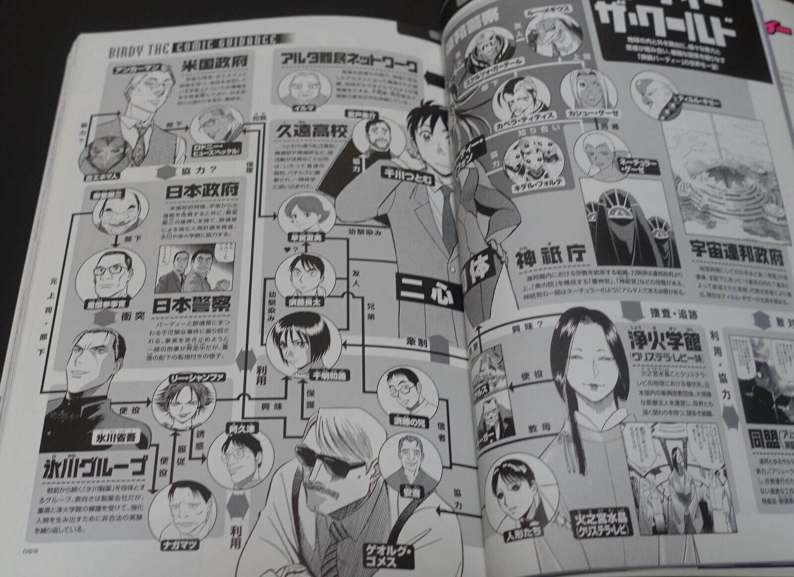 Birdy the Mighty ARCHIVE Book Tetsuwan Birdy 