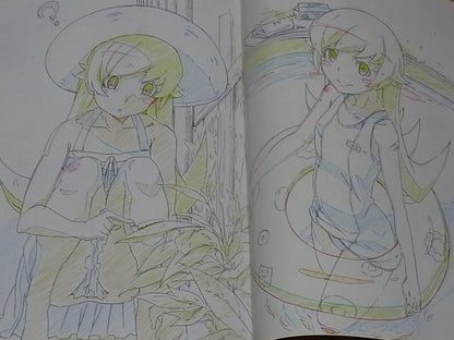 Yataneko IDOL Bakemonogatari Animation Staff's Fan Art Book Shinomonogatari 