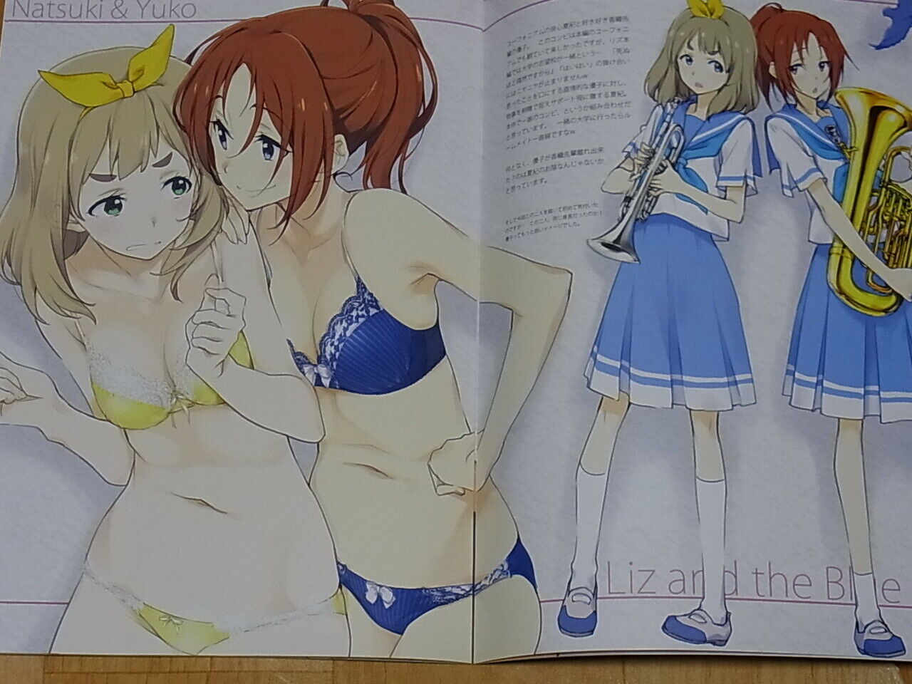 Tomoyasu Kurashima Liz and the Blue Bird Color Fan Art Book Iroiro LatBB 