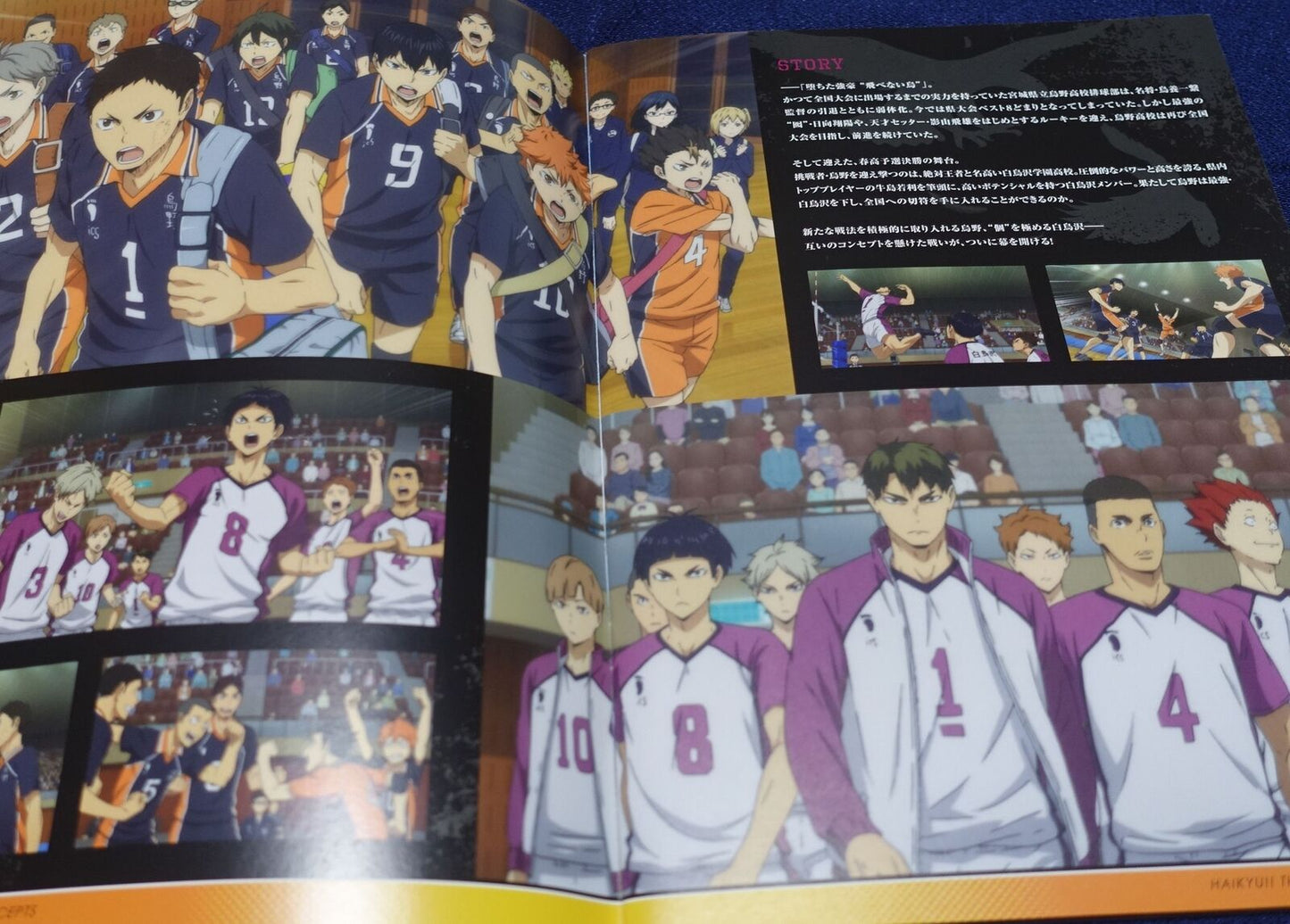 Haikyu! The Movie Battle of Concepts Brochure Pamphlet 