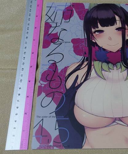 Pochi Iida Goya The Elder Sister Like One Art Book Ane Naru Mono 4.5 