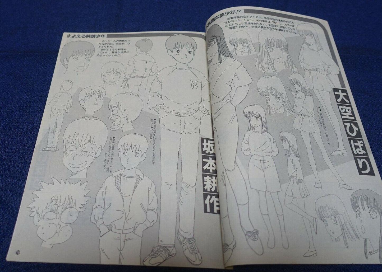 Cut Out Setting Art Article Stop!! Hibari-kun! 