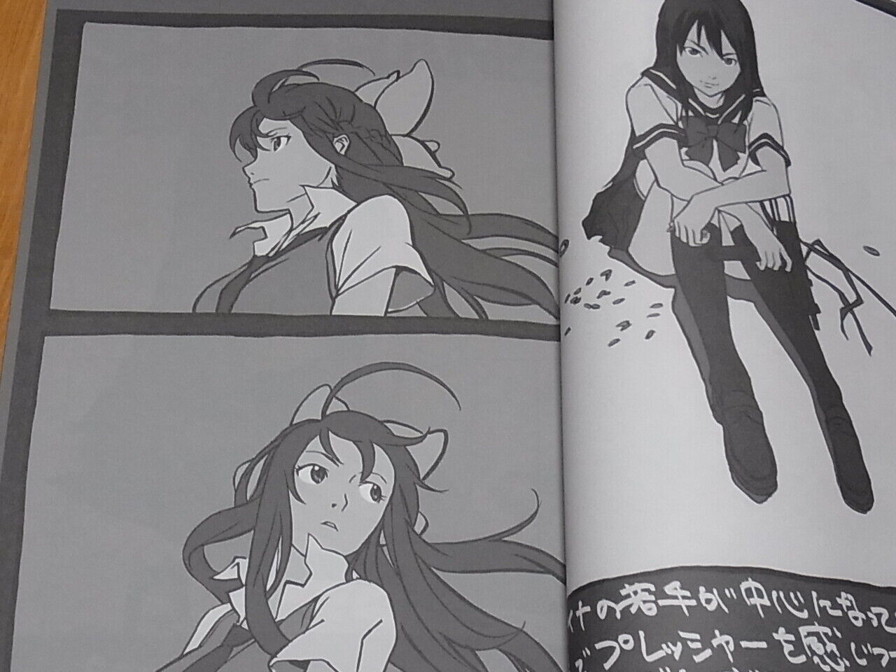 Shikabane Hime Animation Staff Illustration Art Book Giga Syuuiroku Aka 