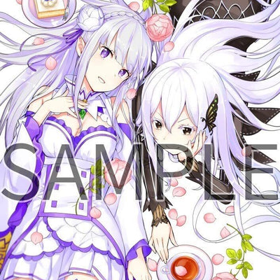 Re:Zero Starting Life in Another World Art Fan Book 2021 Fuyu 