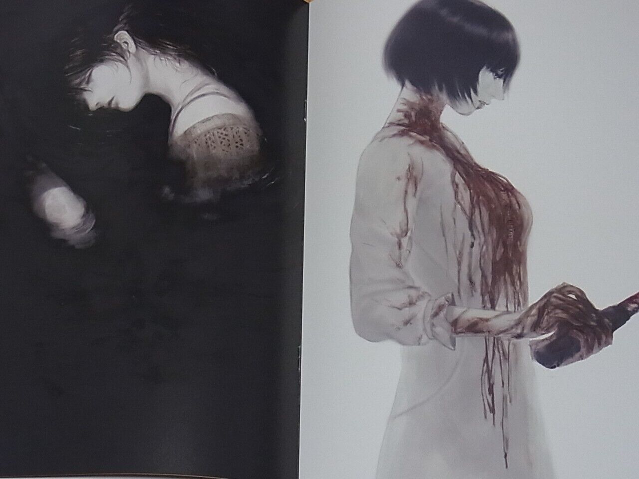 Asako Zero Fatal Frame Color Fan Art Book Kesho Naoshi 