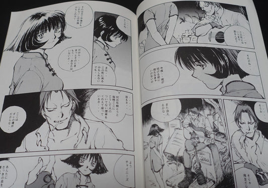 Kei Toume Vampire Lei Lei Rei Rei Fan Art & Comic Book Electric Bat 