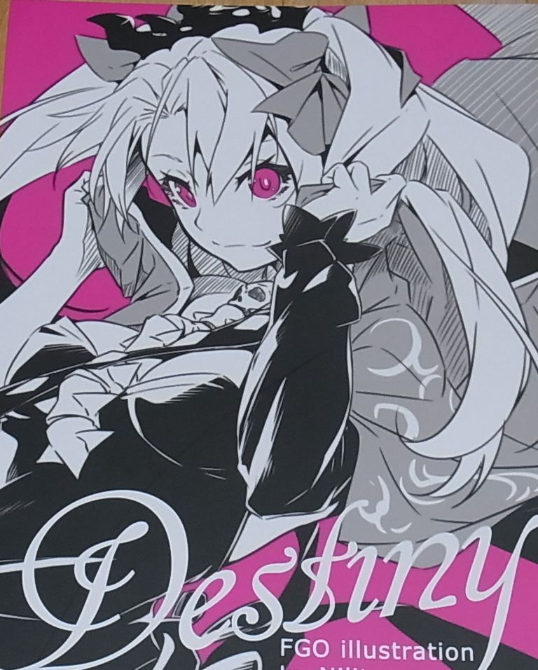 Nilitsu Fate FGO Color Fan Art Doujinshi Destiny 