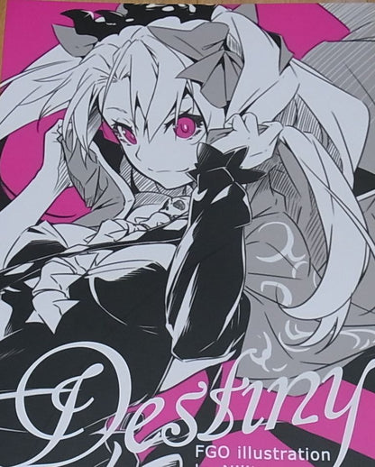 Nilitsu Fate FGO Color Fan Art Doujinshi Destiny 