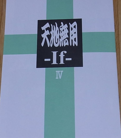 Tenchi Muyo Official Color Doujinshi Tenichi Muyo IF 4 C92 