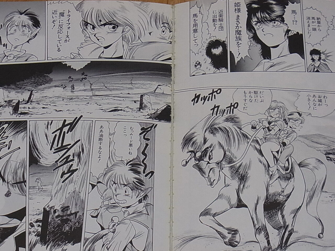 Yuu Misuzaki Comic THE LEGEND OF ZELDA 